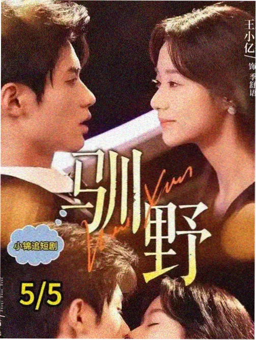 剧集暗涌档案室图鉴封面：风暴影视谍战暗线标本